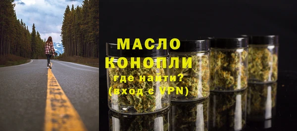 индика Ельня