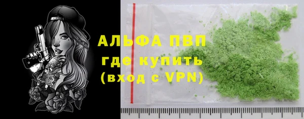 индика Ельня