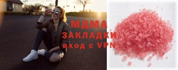 индика Ельня