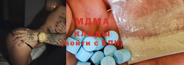 индика Ельня