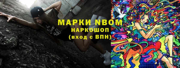 индика Ельня