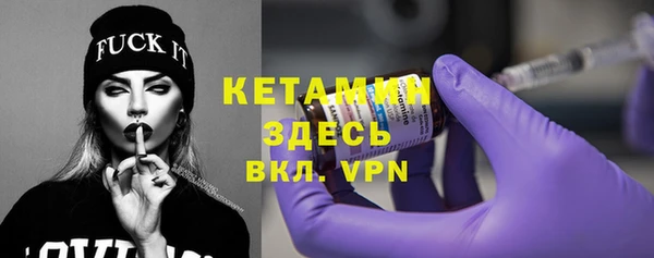 индика Ельня