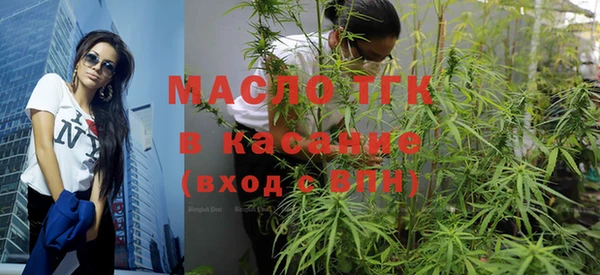 индика Ельня