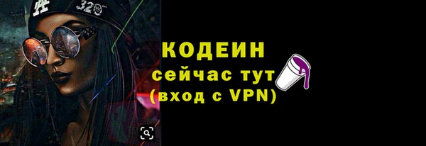 индика Ельня
