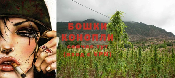 прущие крисы Елизово