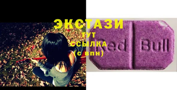 индика Ельня