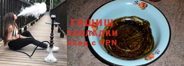 индика Ельня