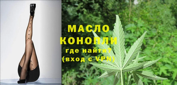 индика Ельня