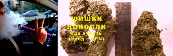 прущие крисы Елизово