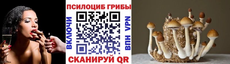 Купить закладки  Карачев  Галлюциногенные грибы мухоморы 