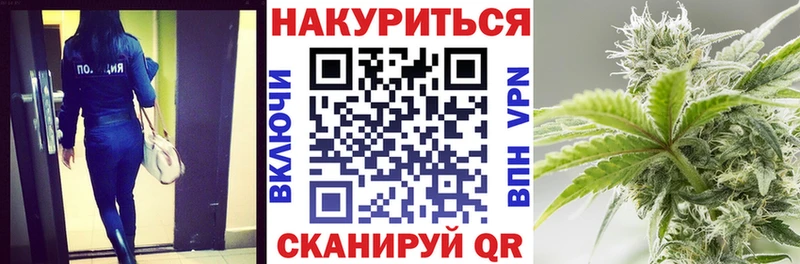 Бошки марихуана план  Купить  Карачев 